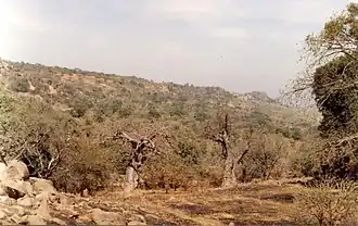 Bandafassi