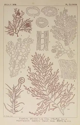 Description de cette image, également commentée ci-après