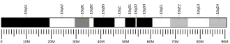 Chromosome 18 (souris)