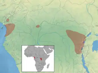 Description de l'image Idiurus zenkeri distribution (colored).png.