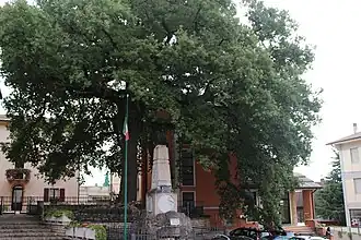 Cerro Veronese
