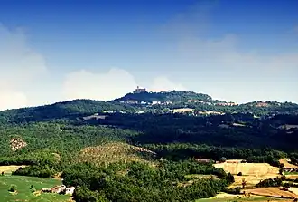 Farini
