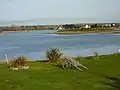 Île-Tudy : l'étang de Kermor -1.