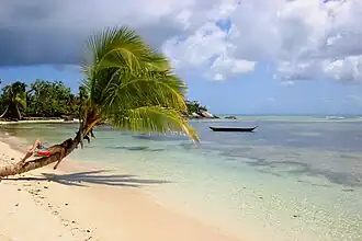 Plage de l'île aux Nattes.