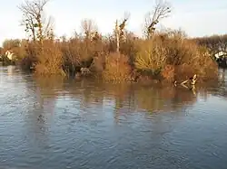 Ile Refuge en hiver