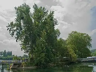 L'Île du Berceau.