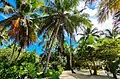 Iles aux nattes (Nosy Nato)