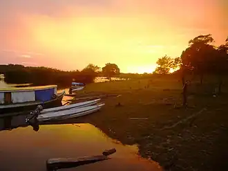 Maués (Amazonas)