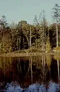 Le Bois Chapelle et l'étang des Landes.