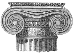 Chapiteau de l'ordre ionique avec des volutes et un échinus ornementé.
