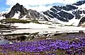 Lacs de Rila