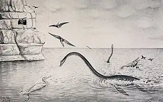 Vieux dessin inexact d'un élasmosaure levant le cou de l'océan avec des ptérosaures, des mosasaures, des oiseaux nageurs et d'autres élasmosaures et une falaise au premier plan et à l'arrière-plan.