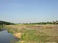 Skorenovac