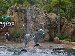 Imagine