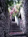 Escalier dans l'impasse des Ursulines.