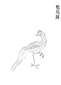 Illustration du Luan dans l’encyclopédie impériale.