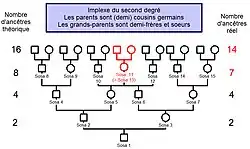 Individu unique en implexe au second degré