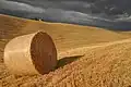 Botte de paille dans le val d'Orcia. Juillet 2012.