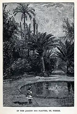 Bassin du jardin.