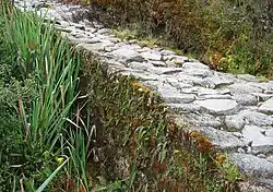 Qhapaq Ñan