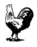 Coq