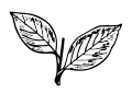 Symbole électoral