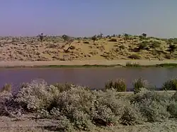 Rajasthan Canal near Sattasar, Rajasthan(India)