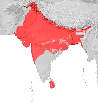 Image illustrative de l’article Langues indo-aryennes