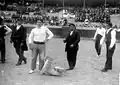 Bittor Zabala, concours de lever d'enclume (1928).