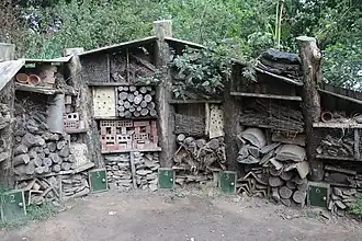 Hôtel à insectes