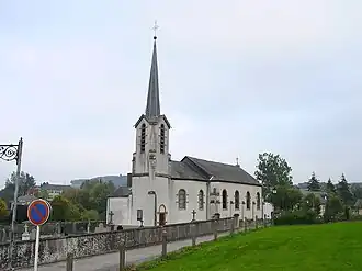 Insenborn