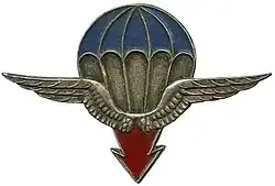 Image illustrative de l’article 25e division aéroportée