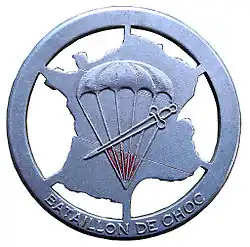 Bataillon de choc - 1er modèle(août - septembre 1944)