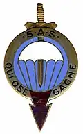 Insigne du 2e RCP, des 1er BCCP SAS et 1er BPC.
