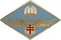 compagnie de chasseurs para. FFL.