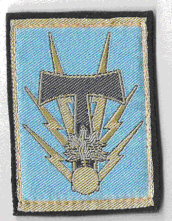 Insigne d'épaule droite des régiments de la BTAC.