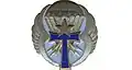Insigne du 61e Bataillon de Transmissions Aéroporté.