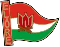 Insigne des Pionniers hongrois (inscription : « En avant ! »)