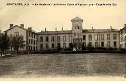 la Saulsaie