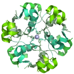 Image illustrative de l’article Insuline glulisine