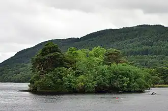 Image illustrative de l’article Île Inveruglas
