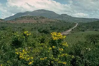 Vue du volcan.