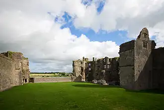 Image illustrative de l’article Château de Roscommon