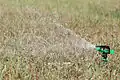 Sprinkler oscillant en action