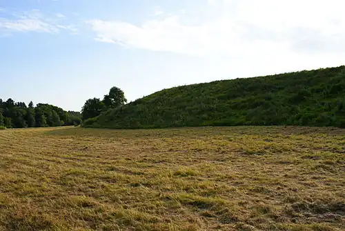 Iru Linnamägi&nbsp;(et).