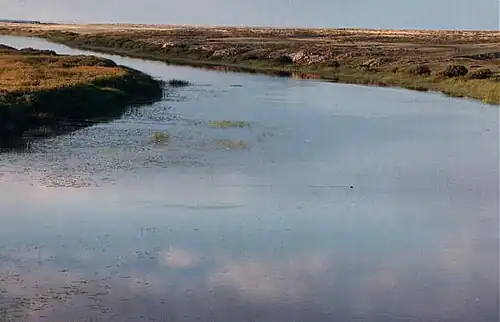 L'Ichim dans la steppe kazakhe aux environs de Derjavinsk, à quelque 400&nbsp;kilomètres à l'ouest d'Astana.