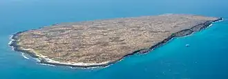 Vue aérienne de l'île Seymour Nord.
