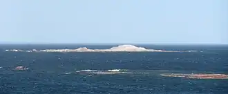 Vue de l'île Shag