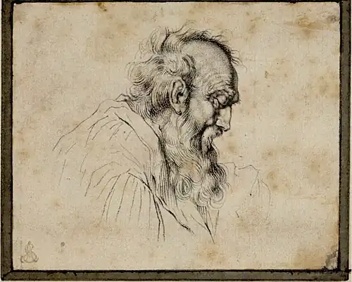 Tête d'un vieil homme (n. d.).