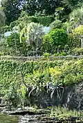 Les jardins botaniques